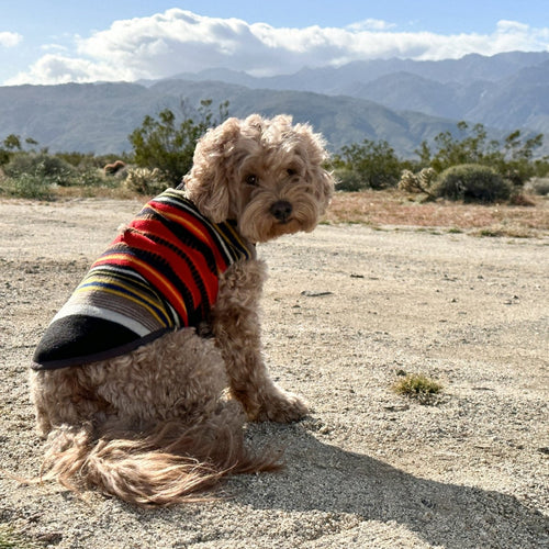 Pendleton National Park Dog Vest – Jackets & Coats by Pendleton