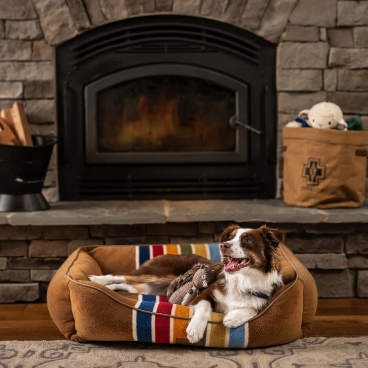 Up to 50% off picks your dog will actually use