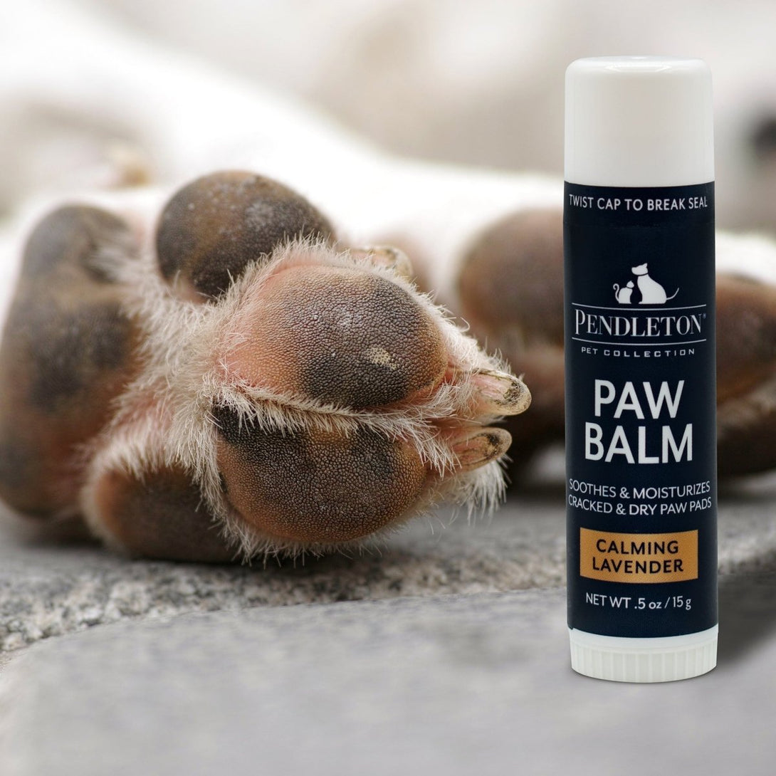 Pendleton Pet Dog Paw Balm – Dog Skincare & Paw Care by Pendleton