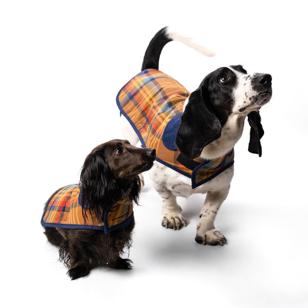 Pendleton Plaid Dog Coat