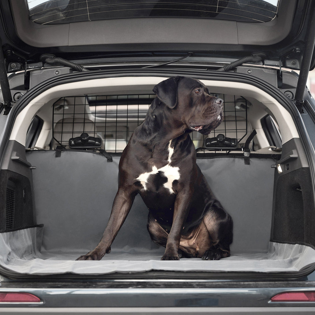 Pet Cargo Cover – Dog Outdoor & Travel Gear by GF Pet.us