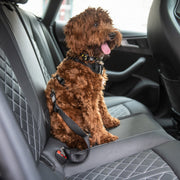 Pet Seat Belt Tether – Dog Outdoor & Travel Gear by GF Pet.us