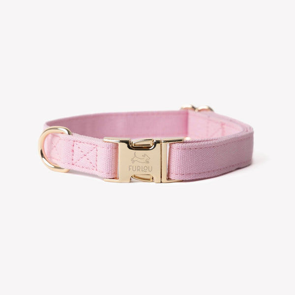 Pink - Canvas Dog Collar – Dog Collars by FURLOU