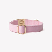 Pink - Canvas Dog Collar – Dog Collars by FURLOU