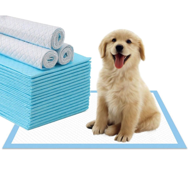 Mr. Peanut’s Premium Absorbent Gel Pee Pads 23 x 23 - Scented Protection