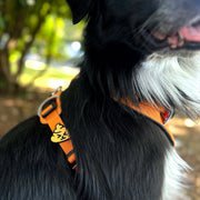 Poop Dog Jiby Dog Collar Charm Flair – Accessories by Jiby Dog Crew