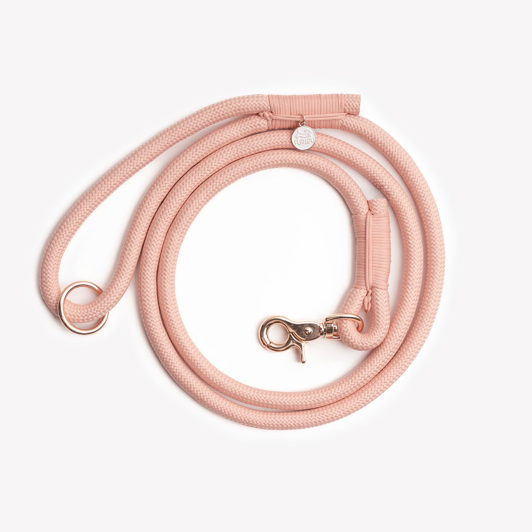 Powder Rose - Braided Rope Dog Leash – Dog Leashes by FURLOU
