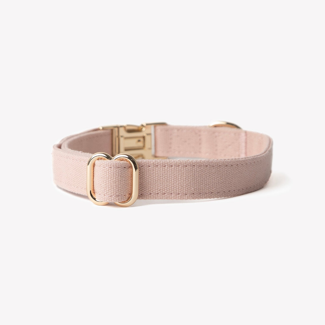 Powder Rose - Canvas Dog Collar – Dog Collars by FURLOU