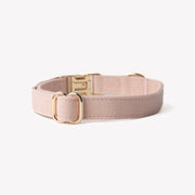 Powder Rose - Canvas Dog Collar – Dog Collars by FURLOU