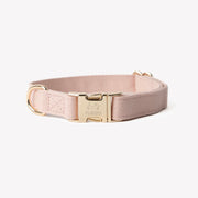 Powder Rose - Canvas Dog Collar – Dog Collars by FURLOU