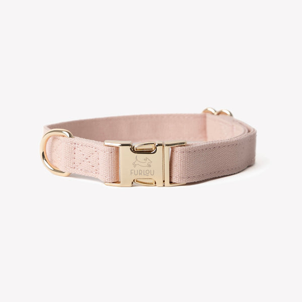 Powder Rose - Canvas Dog Collar – Dog Collars by FURLOU