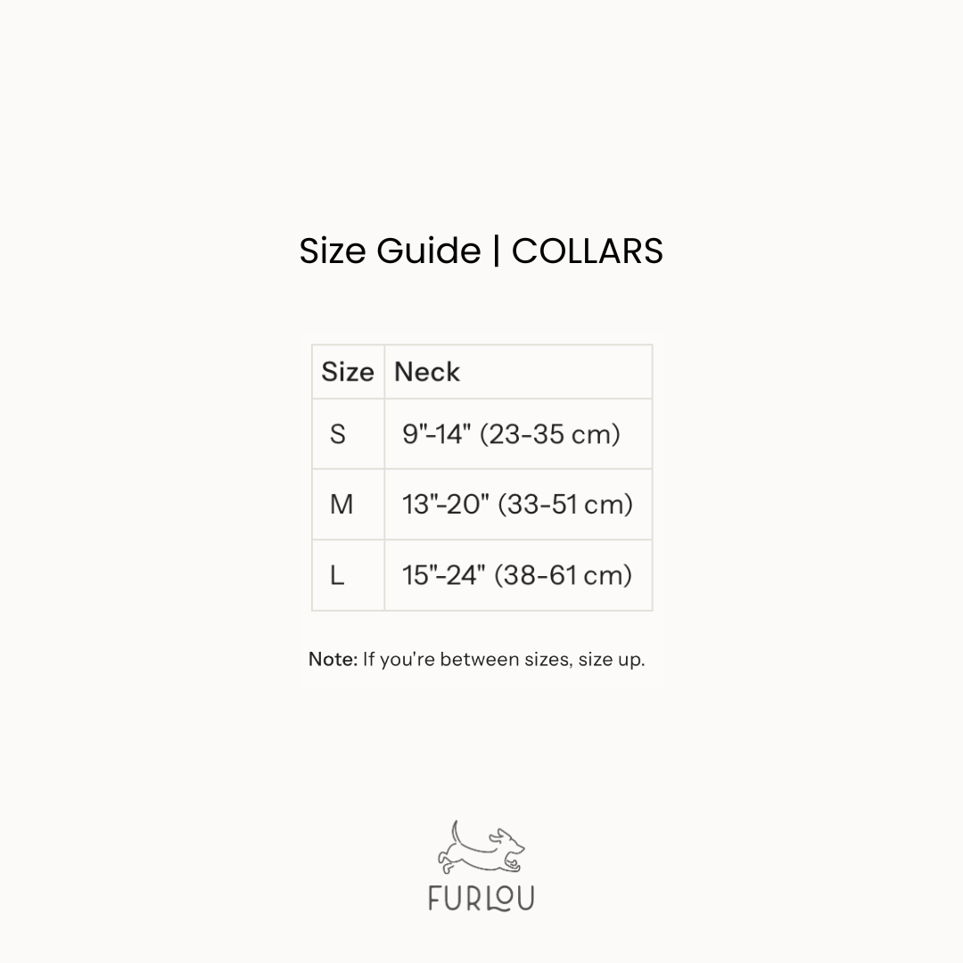 Powder Rose - Canvas Dog Collar – Dog Collars by FURLOU