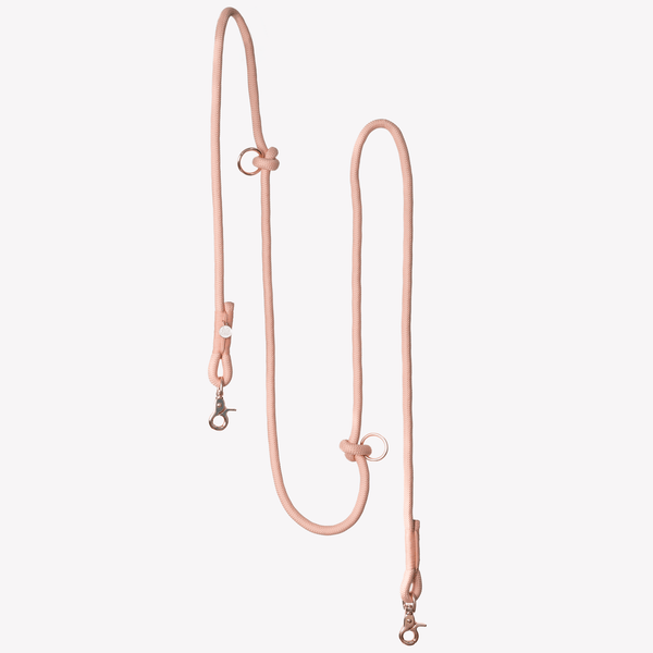 Powder Rose - Hands Free Braided Dog Leash – Dog Leashes by FURLOU