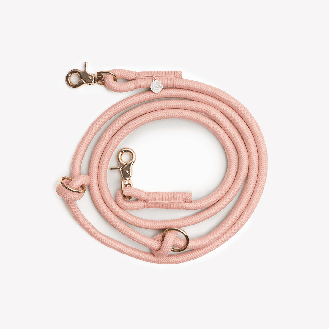 Powder Rose - Hands Free Braided Dog Leash – Dog Leashes by FURLOU