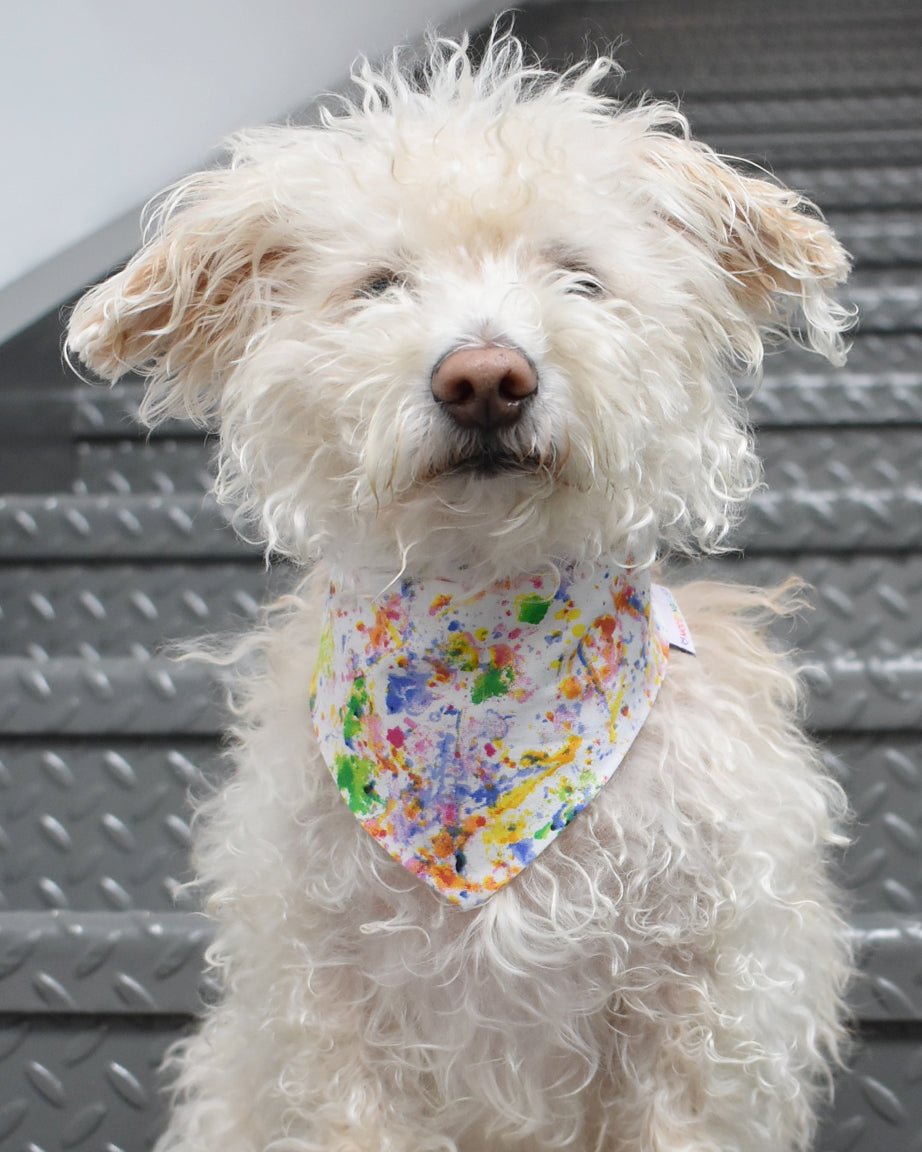 Pride Dog Bandanas – Bandanas & Neckwear by MODERNBEAST