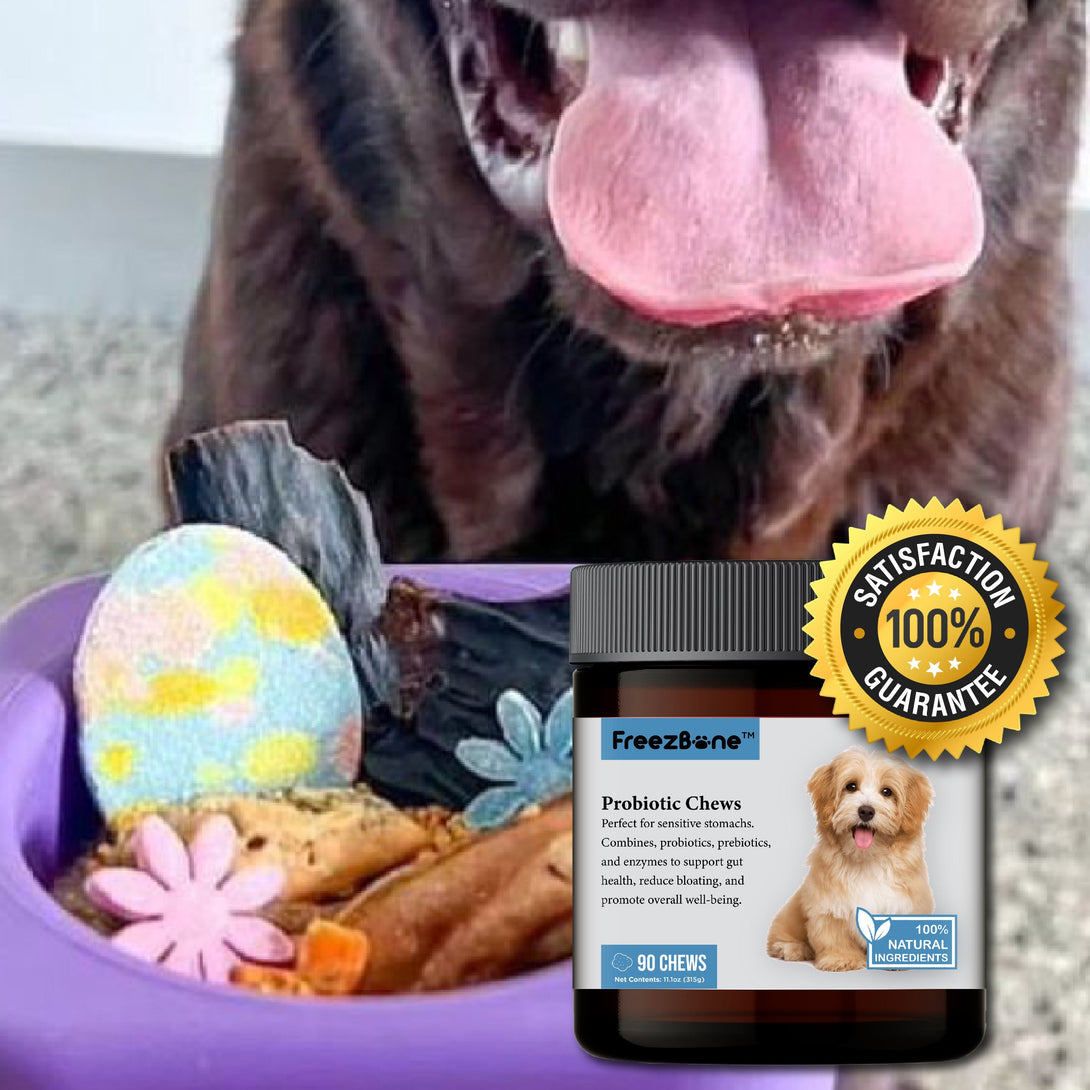 Probiotic Chews (90 Chews) Dog Vitamin Supplements – Dog Vitamins & Supplements by Freezbone