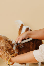 Pup Parent Essentials Dog Grooming Kit – Dog Grooming Kits by Pupwell