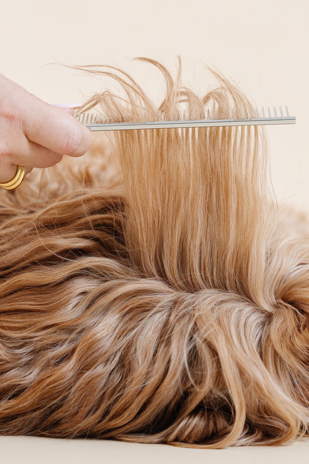 Pup Parent Essentials Dog Grooming Kit – Dog Grooming Kits by Pupwell