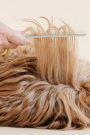 Pup Parent Essentials Dog Grooming Kit – Dog Grooming Kits by Pupwell