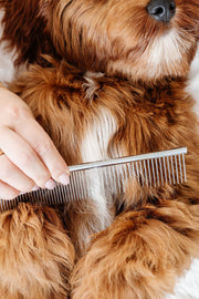 Pup Parent Essentials Dog Grooming Kit – Dog Grooming Kits by Pupwell