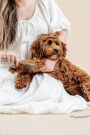 Pup Parent Essentials Dog Grooming Kit – Dog Grooming Kits by Pupwell
