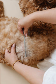 Pup Parent Essentials Dog Grooming Kit – Dog Grooming Kits by Pupwell