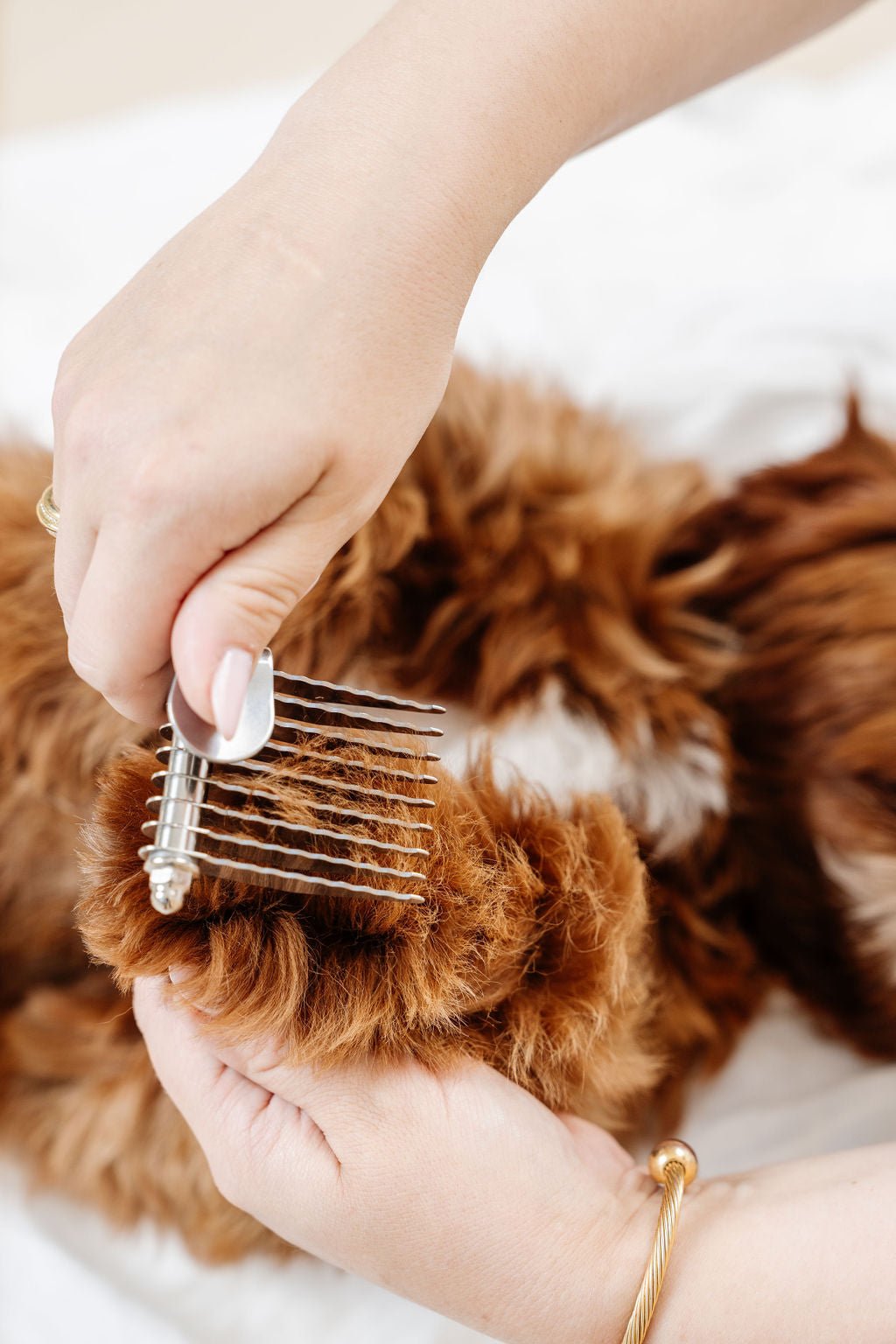 Pup Parent Essentials Dog Grooming Kit – Dog Grooming Kits by Pupwell