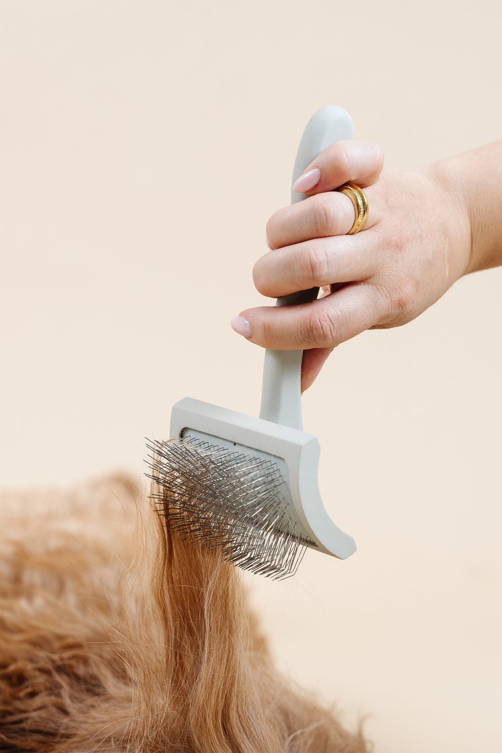 Pup Parent Essentials Dog Grooming Kit – Dog Grooming Kits by Pupwell