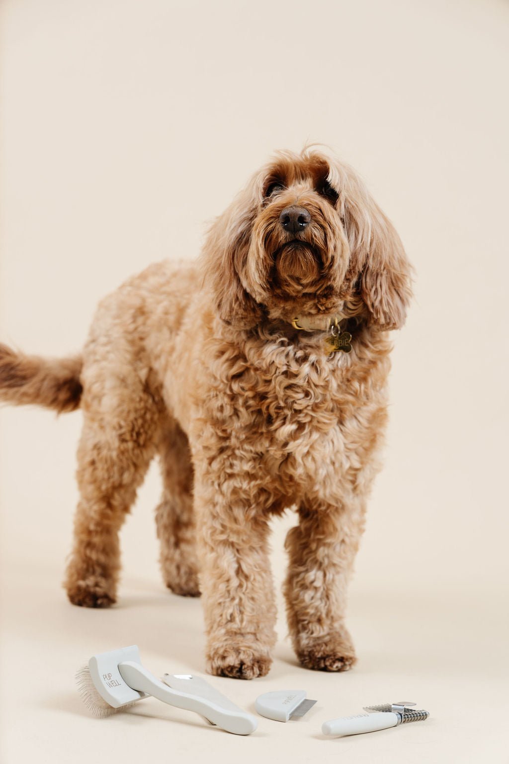 Pup Parent Essentials Dog Grooming Kit – Dog Grooming Kits by Pupwell