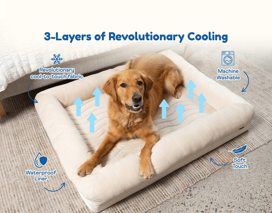 PupChill Cooling 4 - Bolster Dog Bed - Arctic Sand – Dog Beds by Paw.com