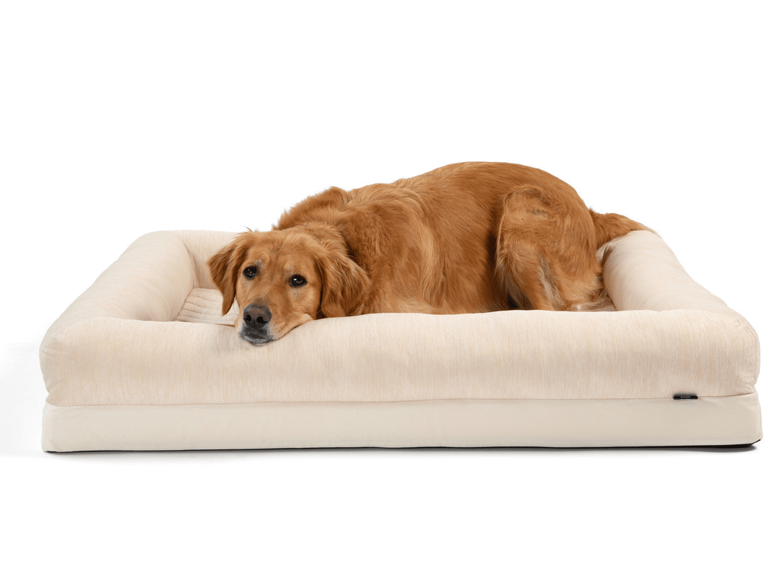 PupChill Cooling 4 - Bolster Dog Bed - Arctic Sand – Dog Beds by Paw.com