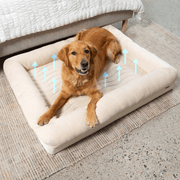PupChill Cooling 4 - Bolster Dog Bed - Arctic Sand – Dog Beds by Paw.com