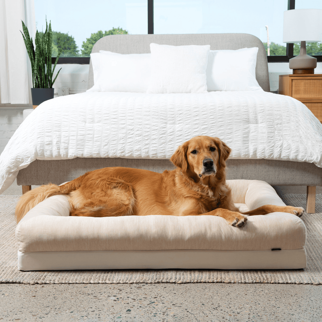 PupChill Cooling 4 - Bolster Dog Bed - Arctic Sand – Dog Beds by Paw.com