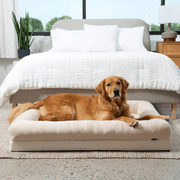 PupChill Cooling 4 - Bolster Dog Bed - Arctic Sand – Dog Beds by Paw.com
