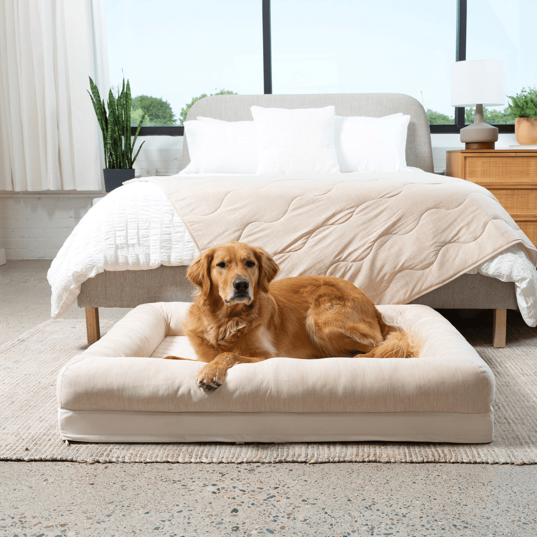 PupChill Cooling 4 - Bolster Dog Bed - Arctic Sand – Dog Beds by Paw.com