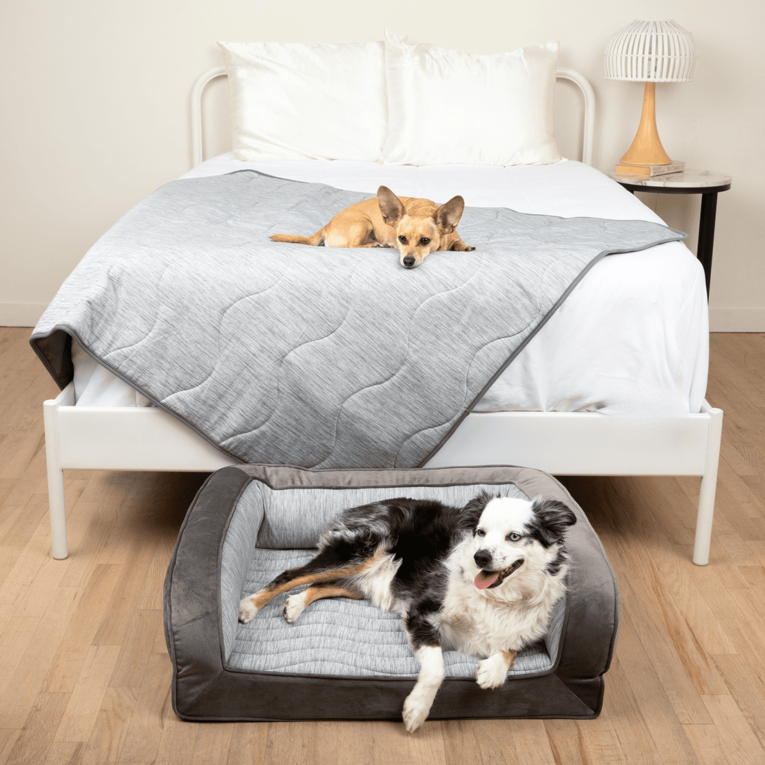 PupChill Cooling Bolster Dog Bed + Waterproof Blanket Bundle - Arctic Grey – Bundles by Paw.com