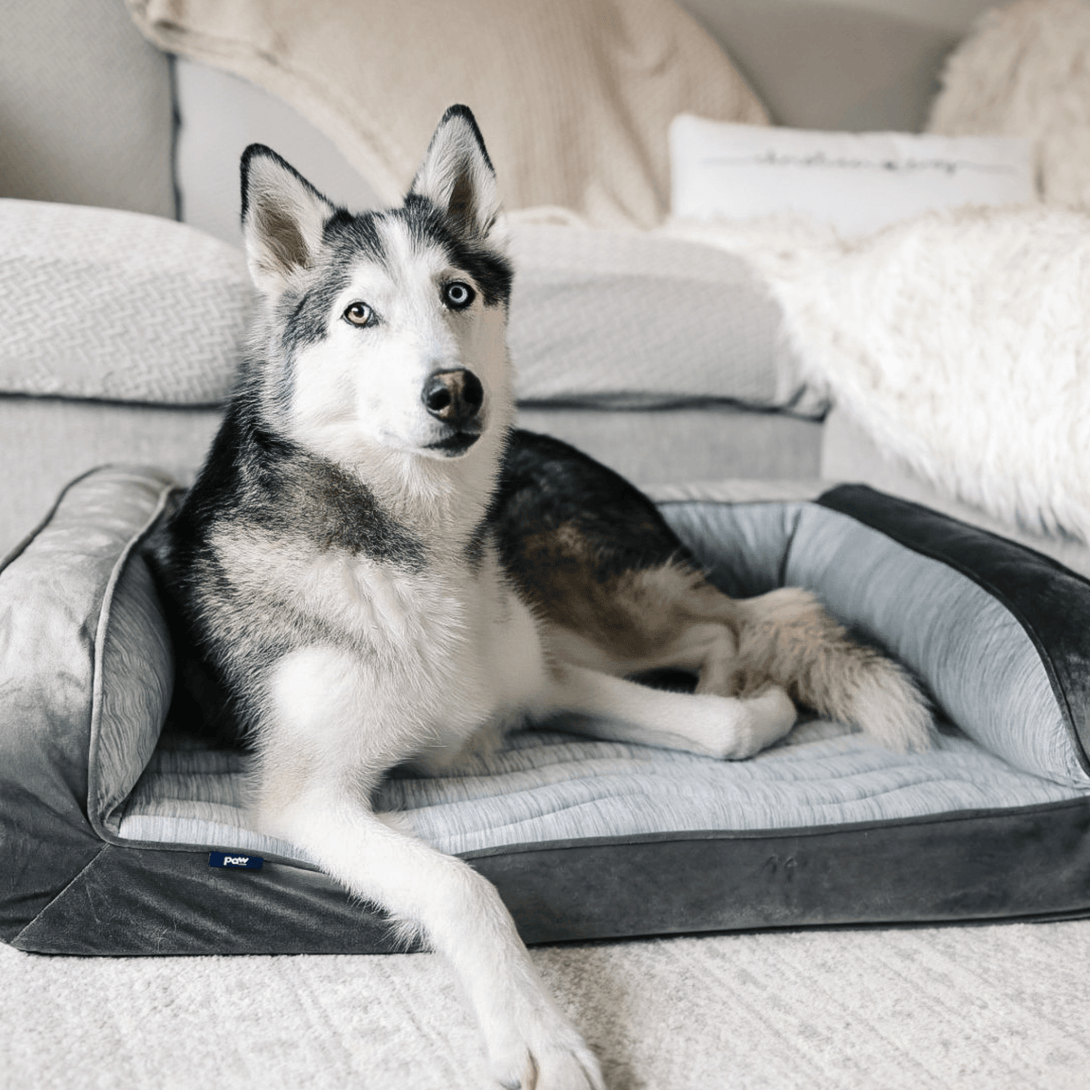 PupChill Cooling Bolster Dog Bed + Waterproof Blanket Bundle - Arctic Grey – Bundles by Paw.com