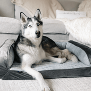 PupChill Cooling Bolster Dog Bed + Waterproof Blanket Bundle - Arctic Grey – Bundles by Paw.com