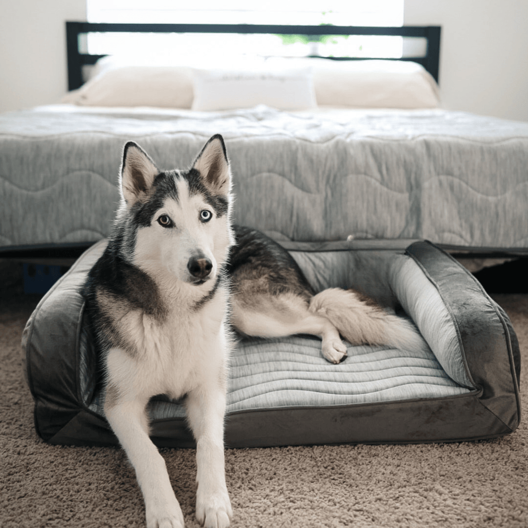 PupChill Cooling Bolster Dog Bed + Waterproof Blanket Bundle - Arctic Grey – Bundles by Paw.com