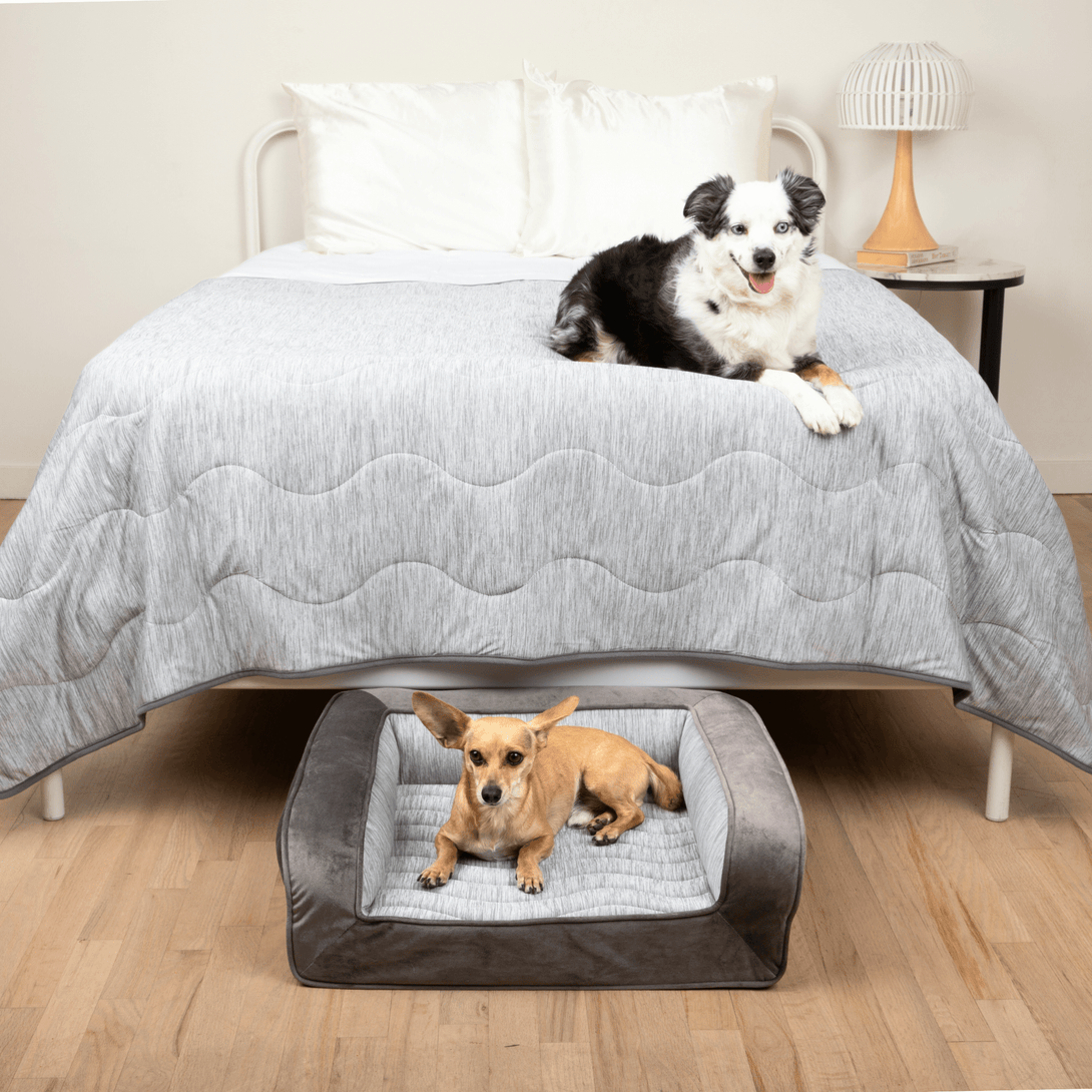 PupChill Cooling Bolster Dog Bed + Waterproof Blanket Bundle - Arctic Grey – Bundles by Paw.com