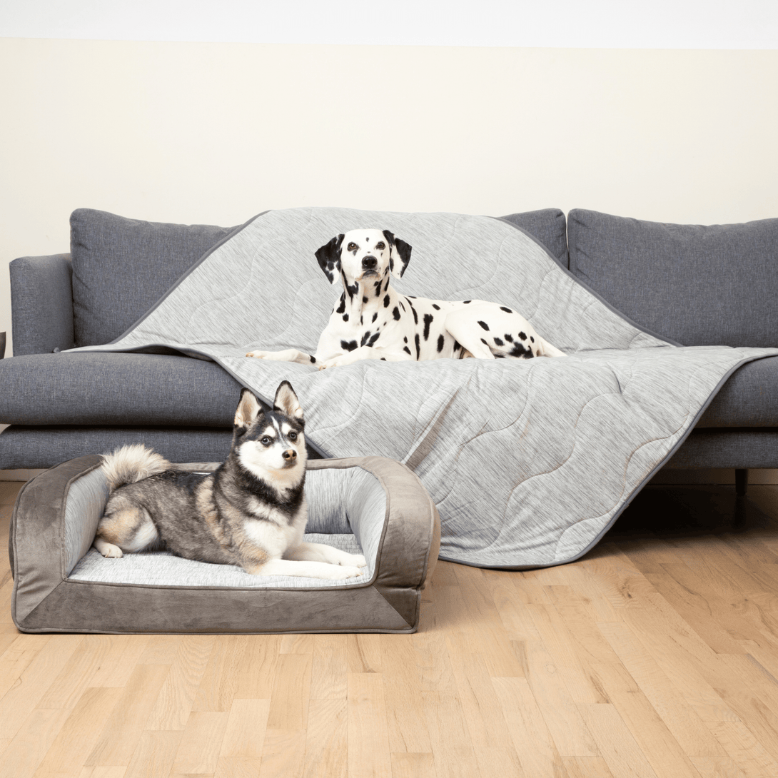 PupChill Cooling Bolster Dog Bed + Waterproof Blanket Bundle - Arctic Grey – Bundles by Paw.com