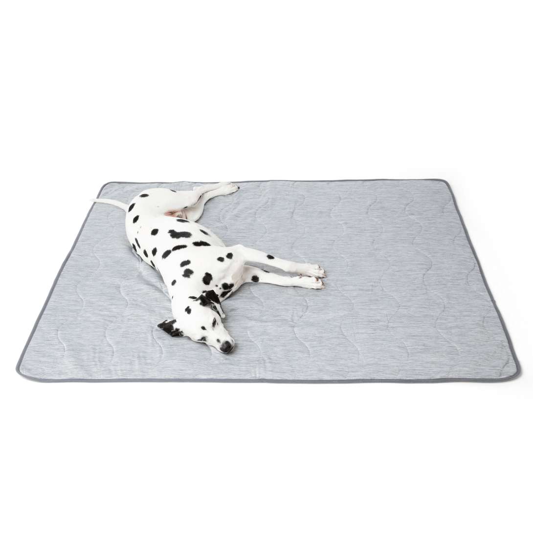 PupChill Cooling Bolster Dog Bed + Waterproof Blanket Bundle - Arctic Grey – Bundles by Paw.com
