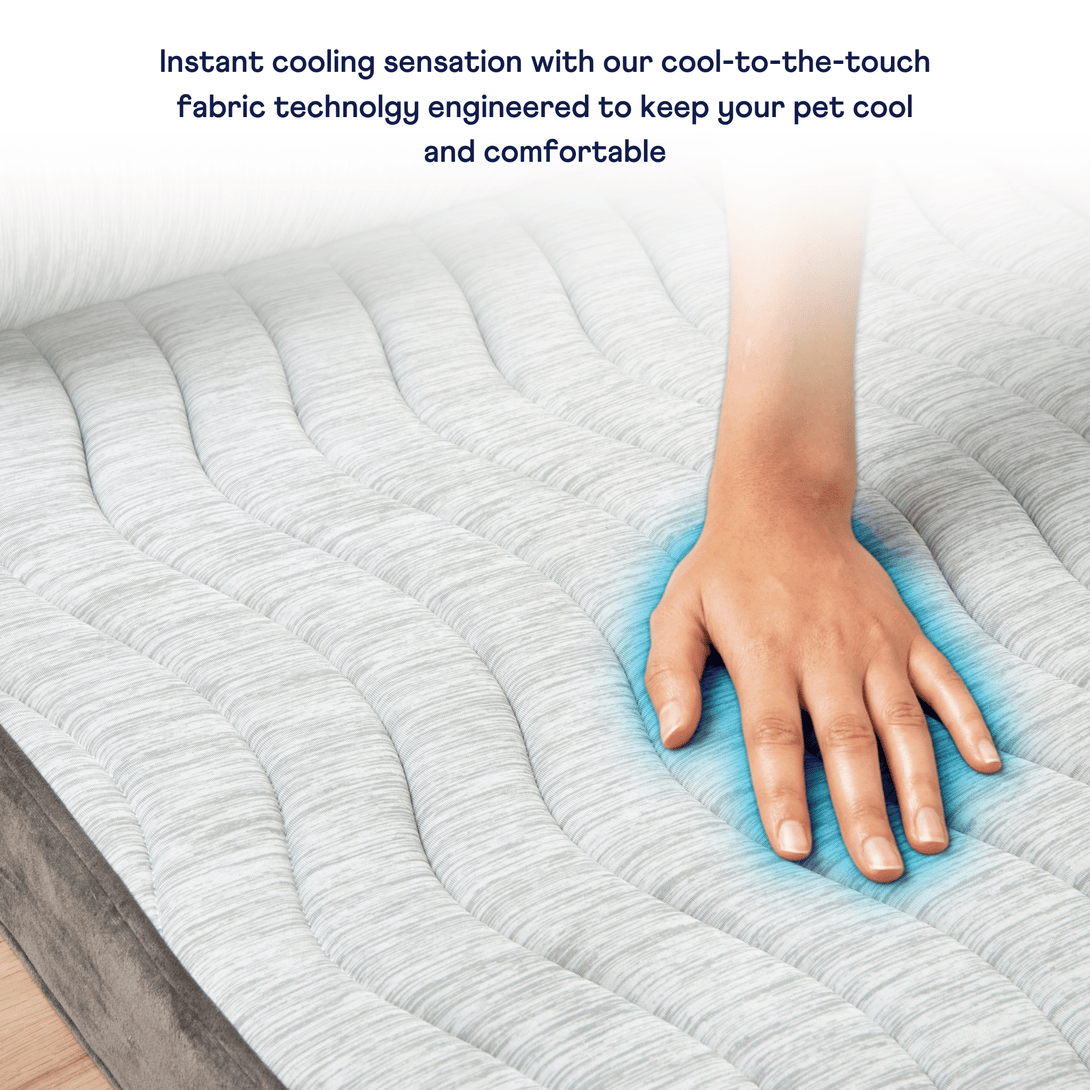 PupChill Cooling Bolster Dog Bed + Waterproof Blanket Bundle - Arctic Grey – Bundles by Paw.com