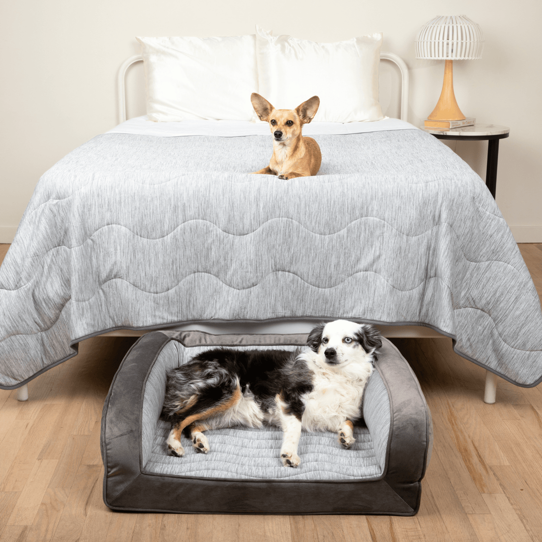 PupChill Cooling Bolster Dog Bed + Waterproof Blanket Bundle - Arctic Grey – Bundles by Paw.com