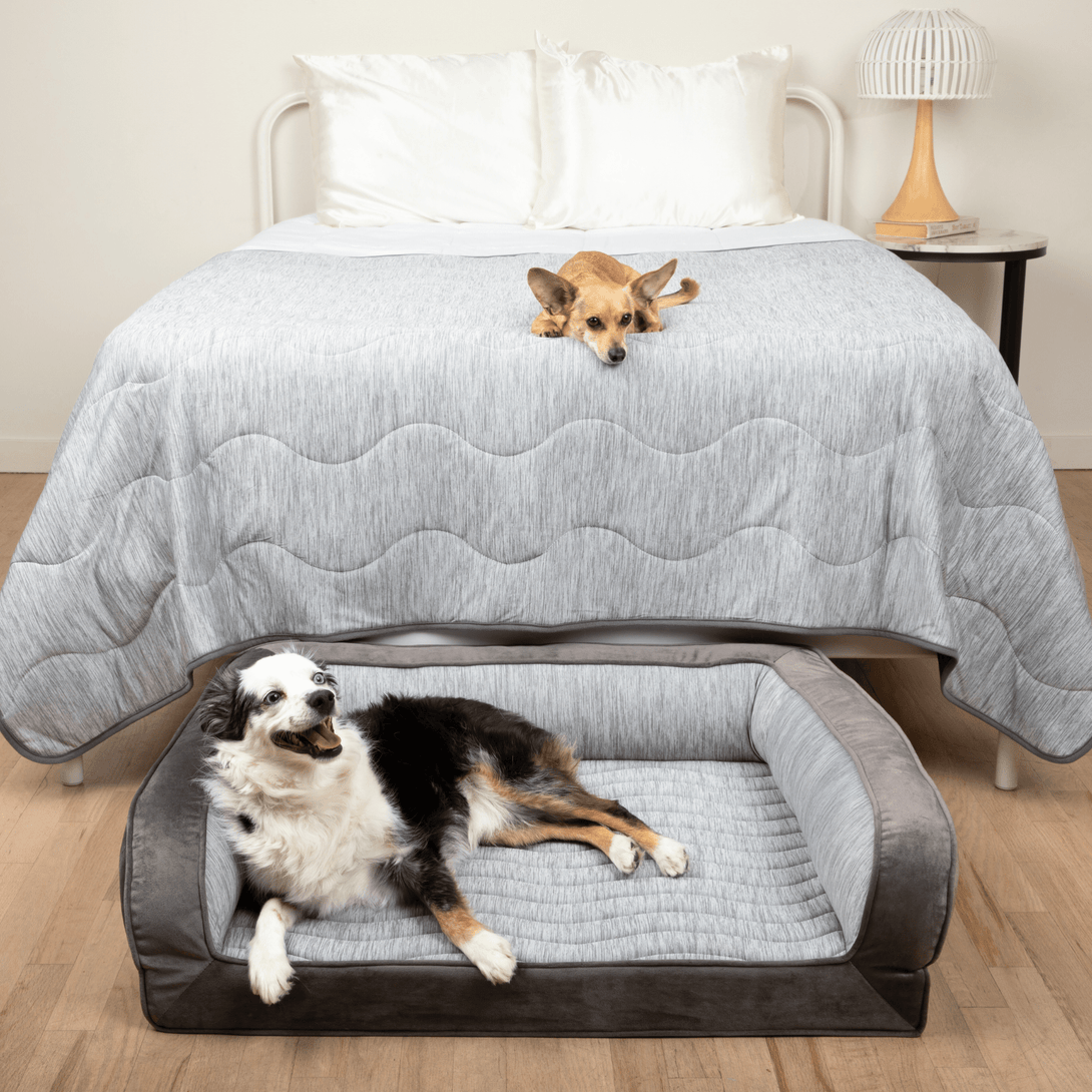 PupChill Cooling Bolster Dog Bed + Waterproof Blanket Bundle - Arctic Grey – Bundles by Paw.com