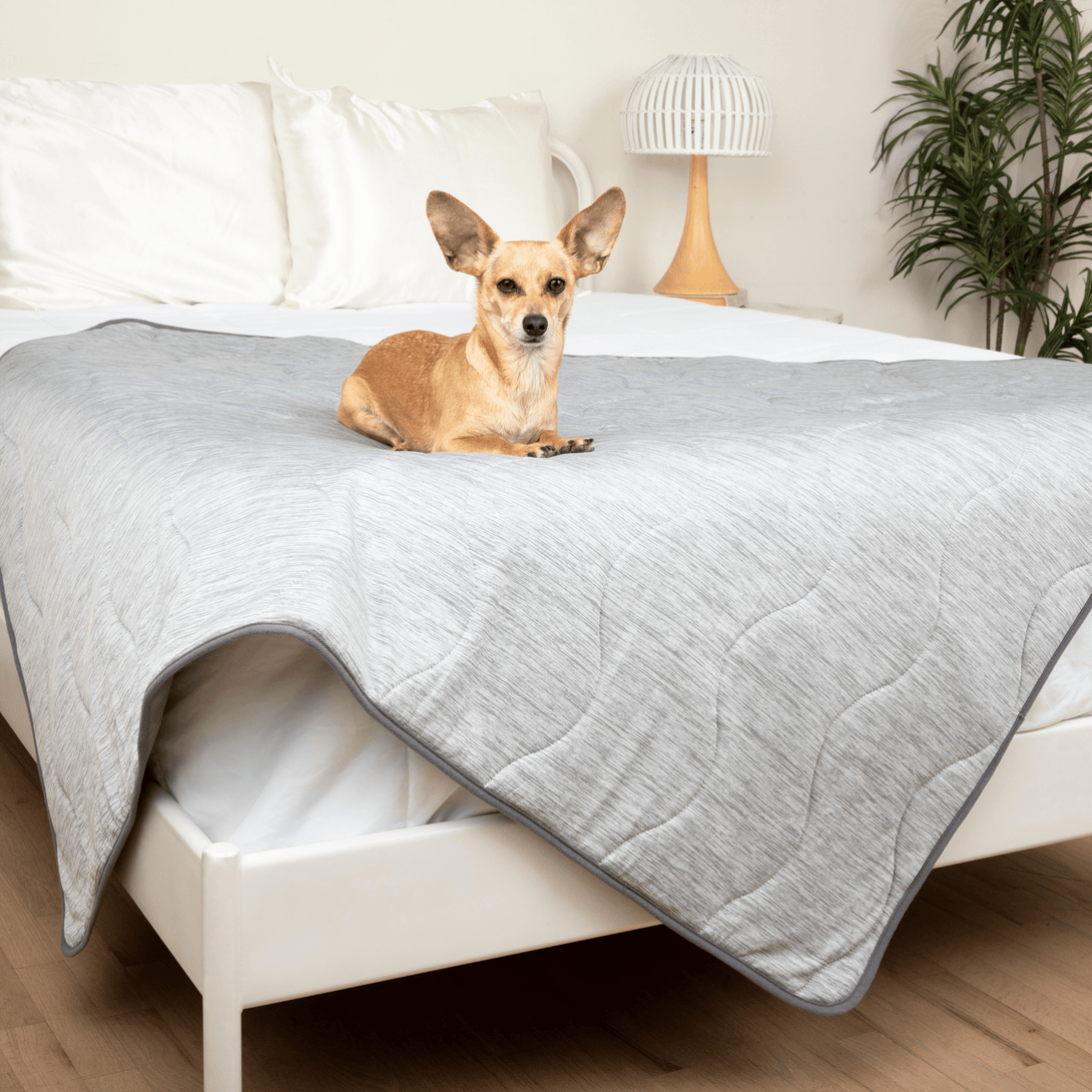 PupChill Cooling Waterproof Dog Blanket - Arctic Grey – Dog Blankets by Paw.com