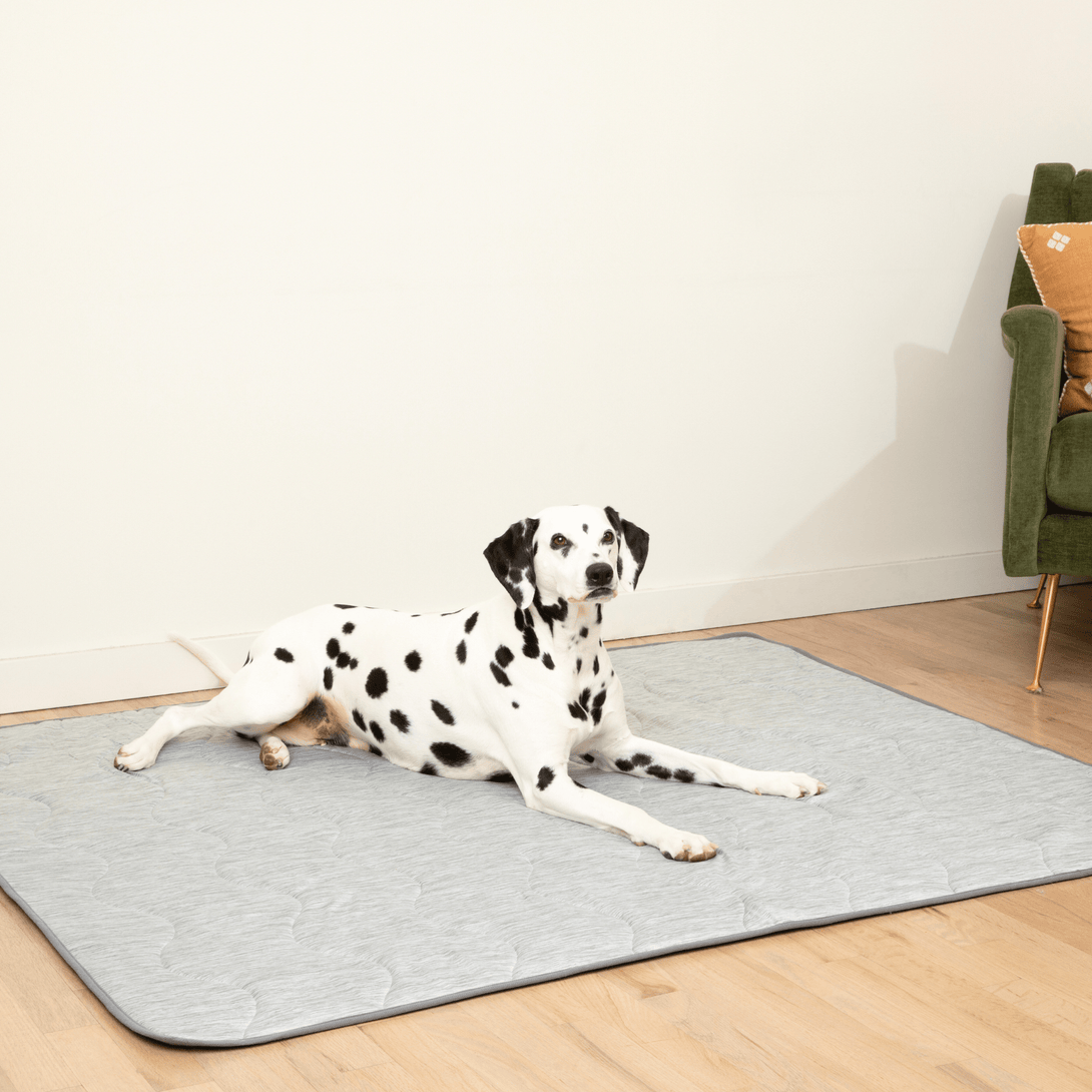 PupChill Cooling Waterproof Dog Blanket - Arctic Grey – Dog Blankets by Paw.com
