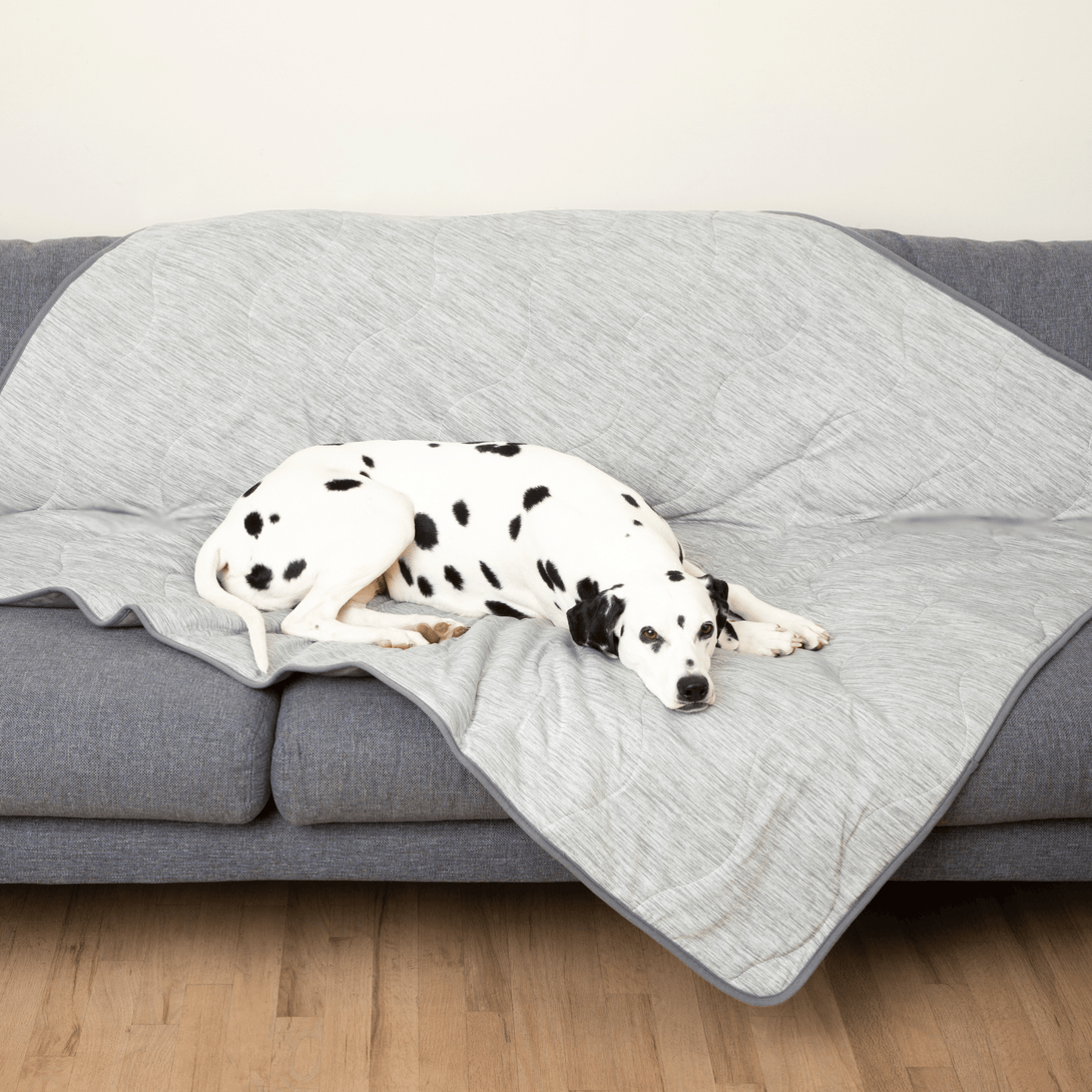 PupChill Cooling Waterproof Dog Blanket - Arctic Grey – Dog Blankets by Paw.com