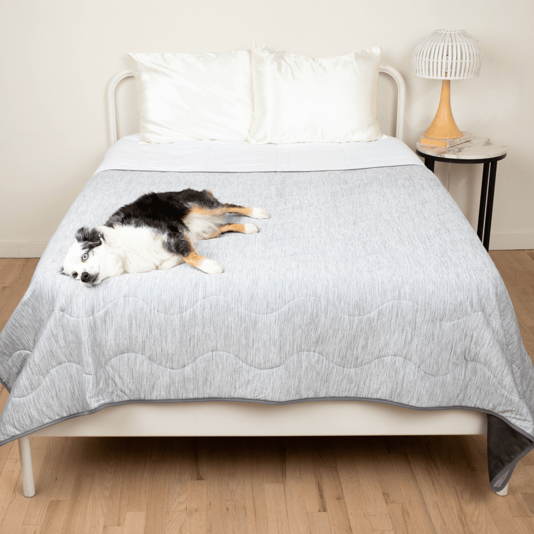 PupChill Cooling Waterproof Dog Blanket - Arctic Grey – Dog Blankets by Paw.com