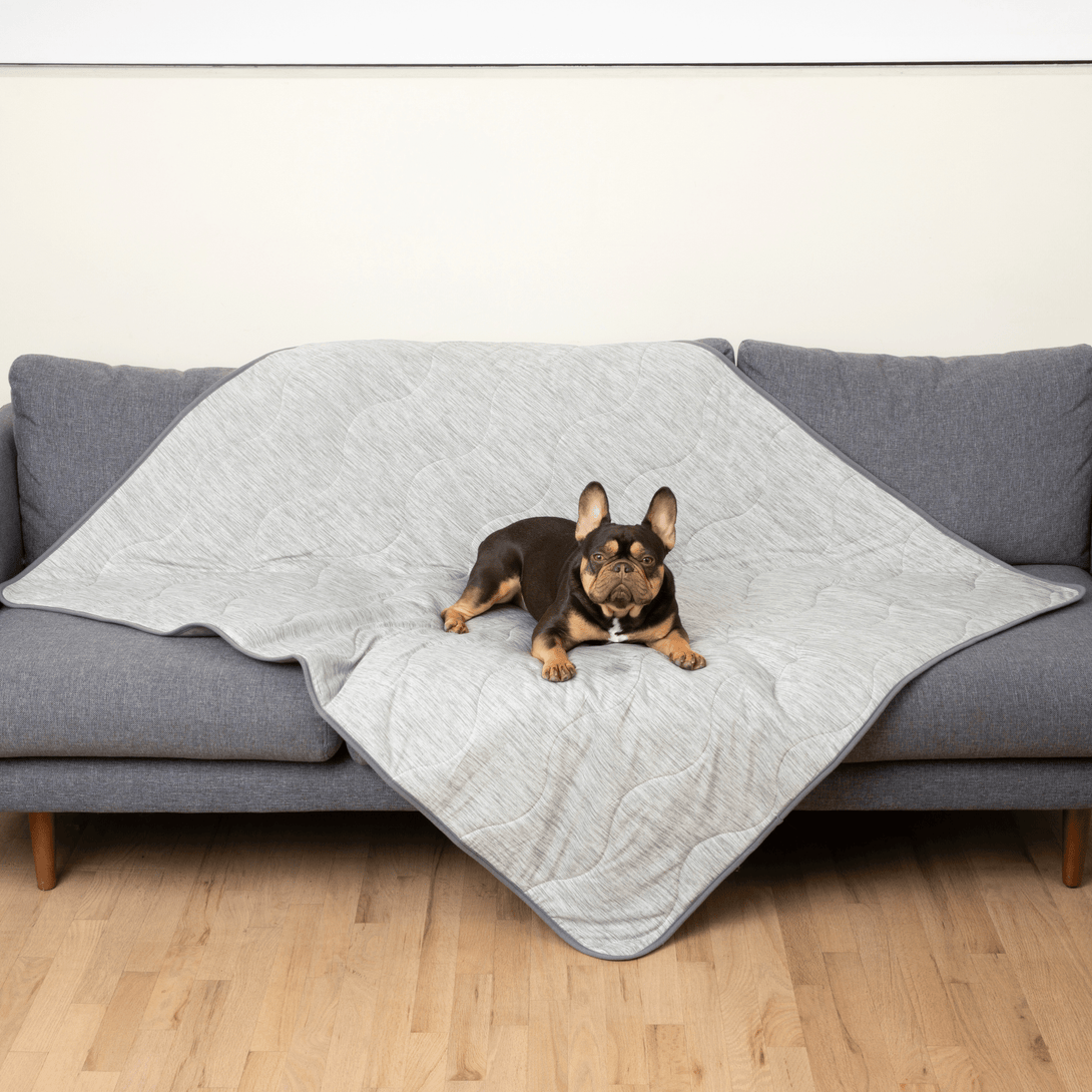 PupChill Cooling Waterproof Dog Blanket - Arctic Grey – Dog Blankets by Paw.com